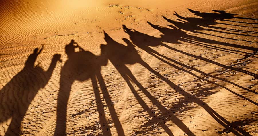 Agadir: Camel Ride With Tea - The ride route: eucalyptus trees, the Souss River, and a royal palace peek