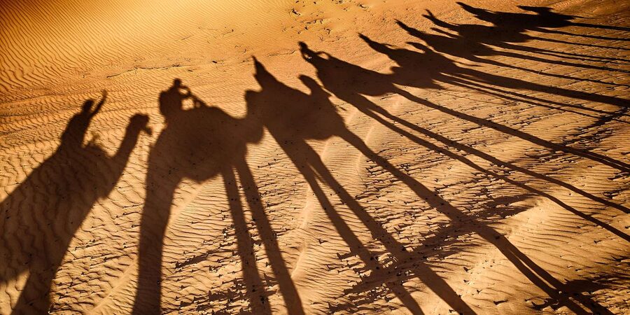 Agadir: Camel Ride With Tea - Price and value: why this package often feels fair