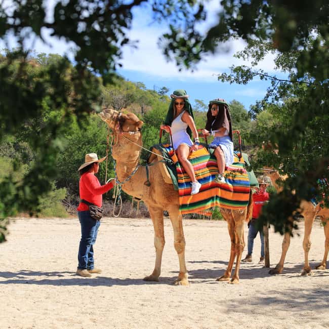 Agadir: Camel Ride With Tea & BBQ Dinner Option - Leaving Agadir for the Souss-Massa Ranch
