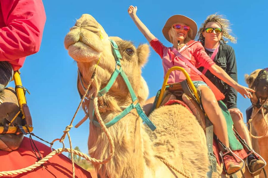 Agadir: Camel Ride With Tea & BBQ Dinner Option - Choosing Your Camel at the Ranch