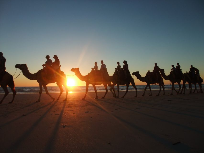 Agadir: Camel Ride With Tea & BBQ Dinner Option - The Camel Ride Route: Eucalyptus, River Views, and Photo Stops