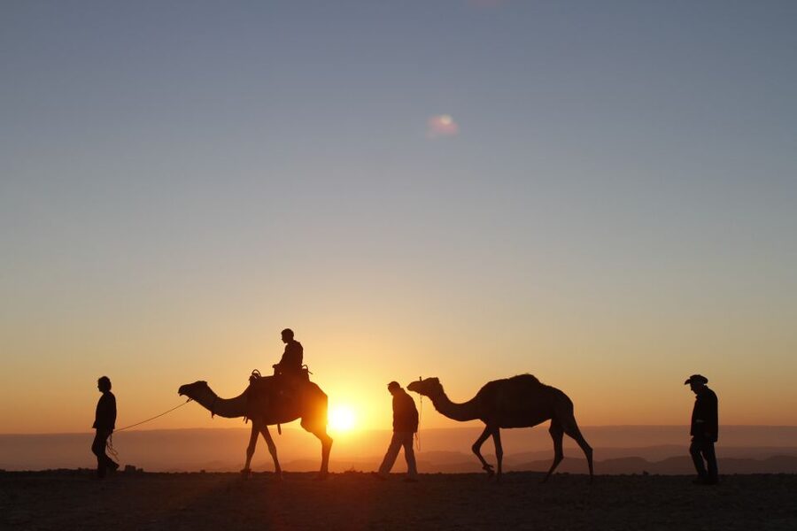 Agadir: Camel Ride With Tea & BBQ Dinner Option - BBQ Dinner Option: What Changes When You Add It