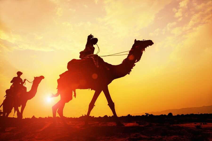 Agadir: Camel Ride With Tea & BBQ Dinner Option - Photos and Souvenirs: The Printed Shot Offer