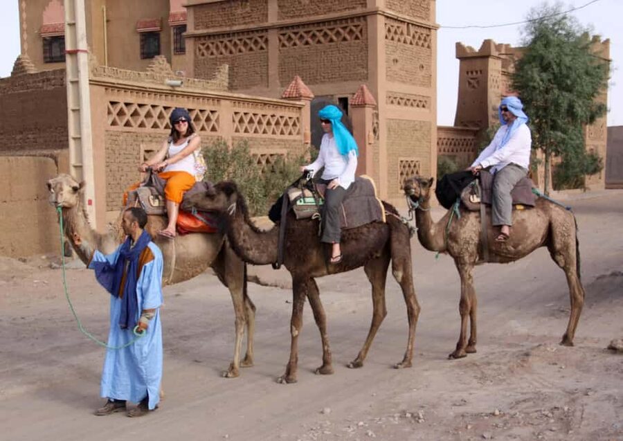 Agadir: Camel Ride With Tea & BBQ Dinner Option - Hotel Pickup, A/C Transport, and Timing Reality