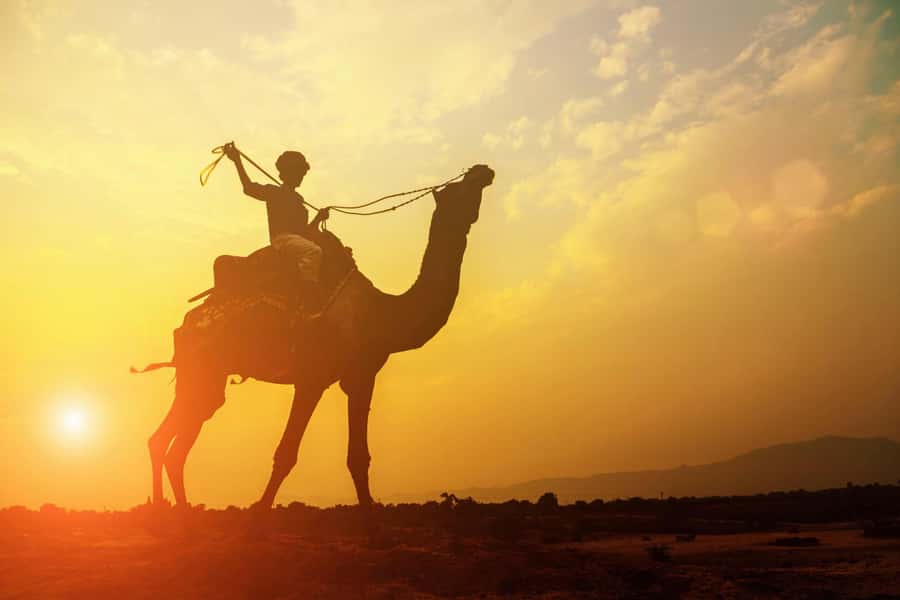 Agadir: Camel Ride With Tea - How the 2-hour day actually unfolds