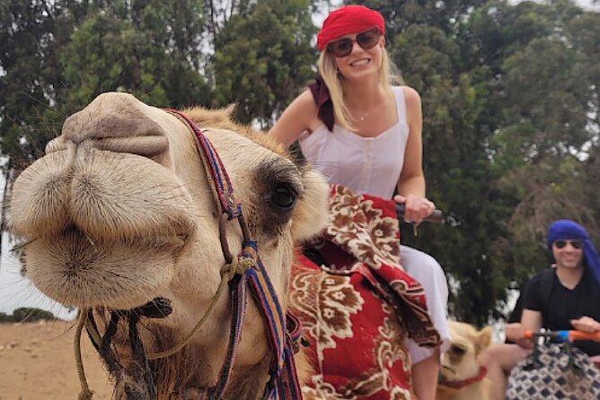 Agadir Camel Rides with Tea Drink & cakes - Key points to know before you go