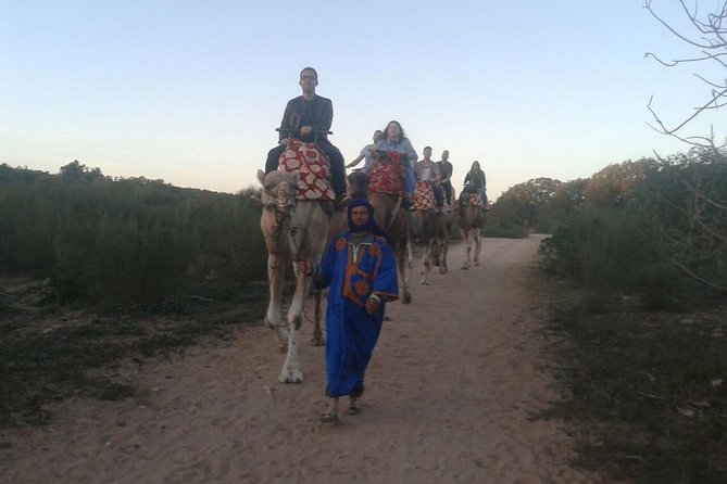 Agadir Camel Riding +Sunset and Dinner( barbecue) - Getting There: Hotel Pickup, Small Group, and Timing Reality