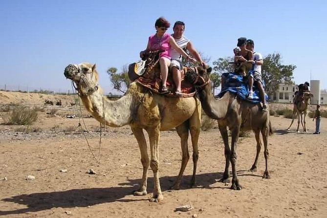 Agadir Camel Riding +Sunset and Dinner( barbecue) - Price and Value: What $34.63 Buys You in Agadir