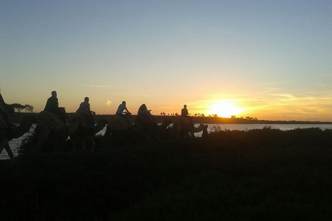 Agadir Camel Riding +Sunset and Dinner( barbecue) - Dinner in a Tent: Barbecue, Couscous, and the Family-Style Finish