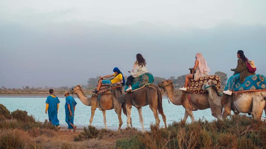 Agadir: Camel Riding Tour with Tea Drink - Key Points You Should Know Before You Go