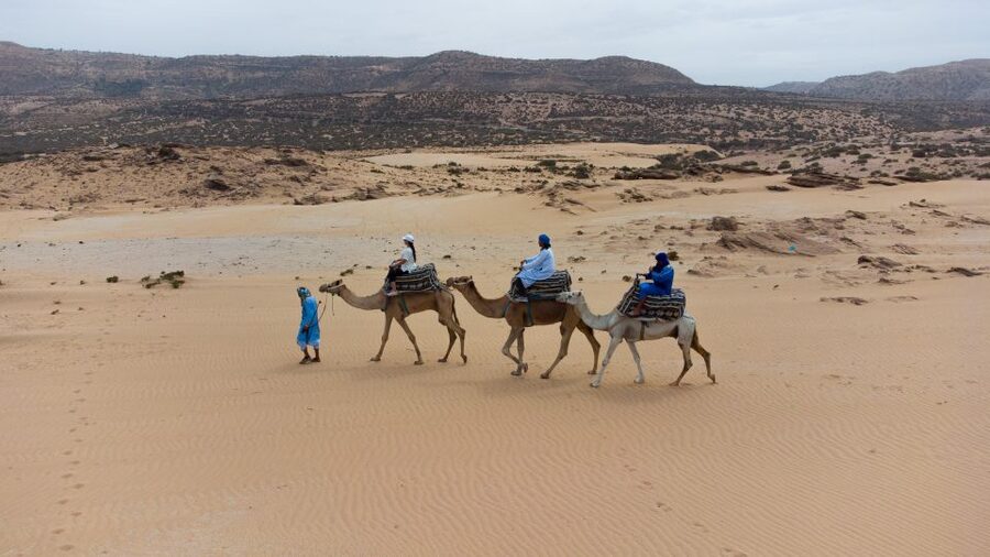 Agadir: Camel Riding Tour with Tea Drink - Where the Ride Goes: Dunes, River Views, and What to Expect