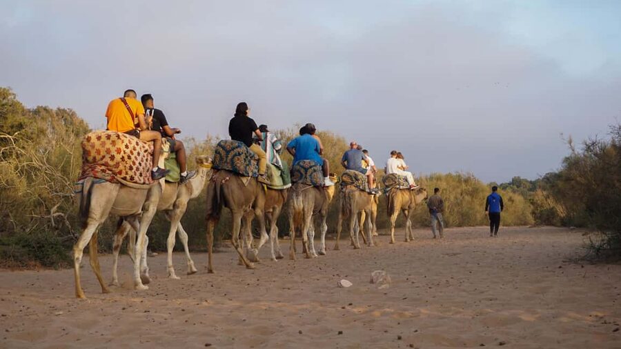 Agadir: Camel Riding Tour with Tea Drink - The Mint Tea Moment: Why It’s Not Just a Token