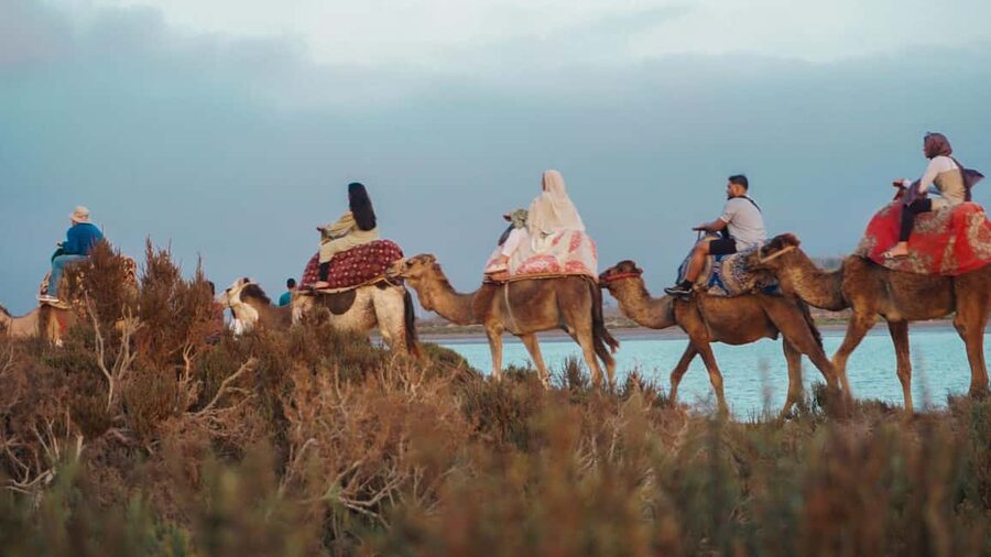 Agadir: Camel Riding Tour with Tea Drink - What to Wear and Bring for a Comfortable Camel Ride