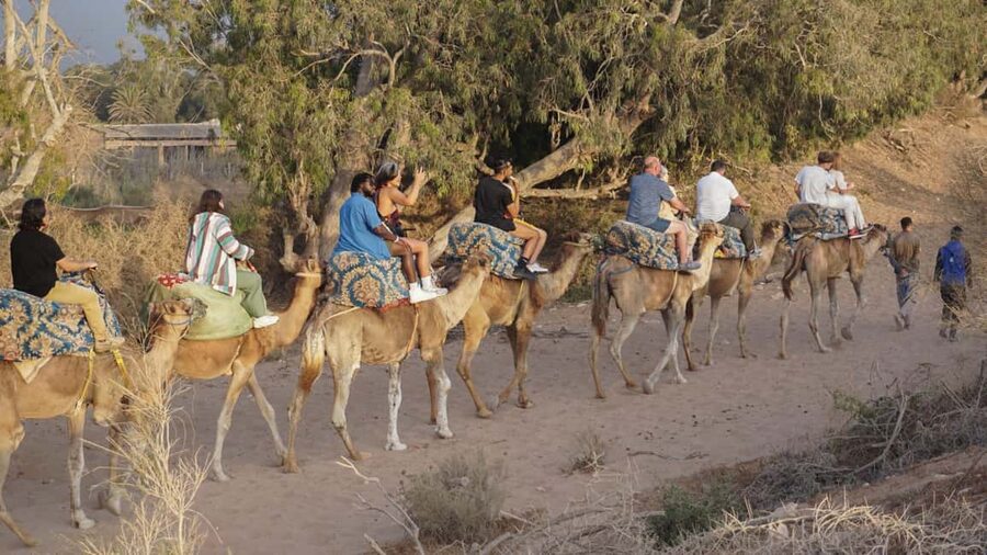 Agadir: Camel Riding Tour with Tea Drink - Value for $22: A Simple Cost, Plus the Right Expectations