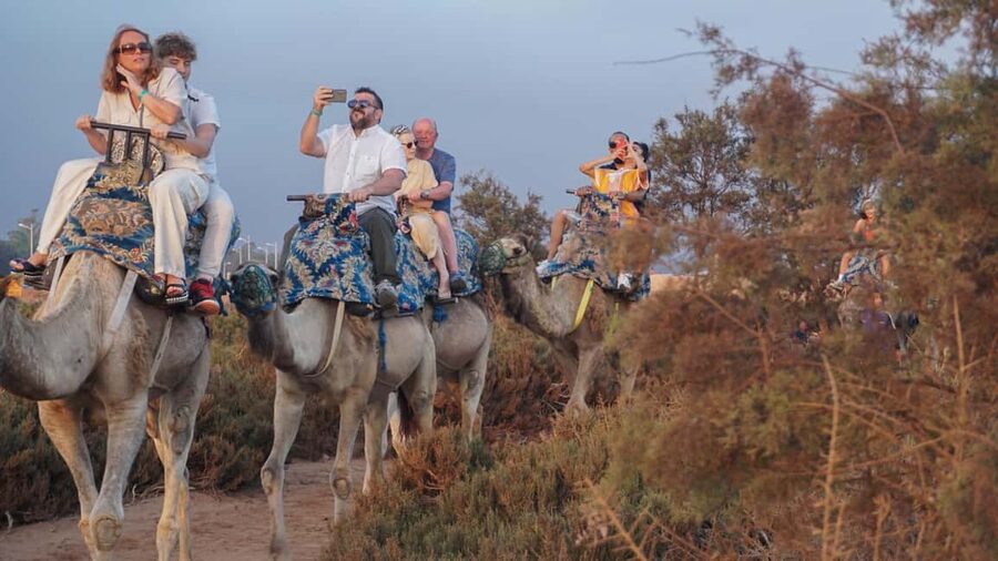 Agadir: Camel Riding Tour with Tea Drink - Pickup Reality: The 5 to 20 Minute Window