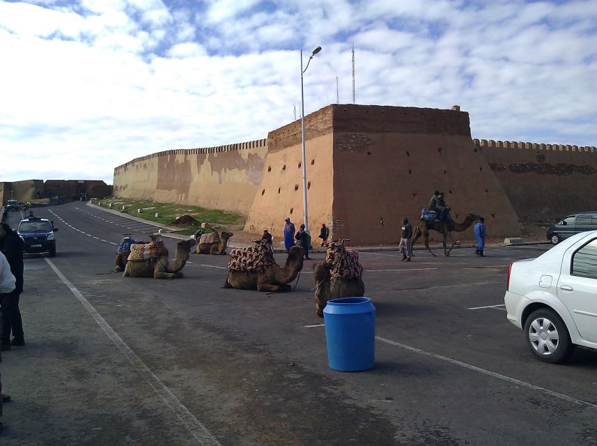Agadir : City Sightseeing Tour - Key Things You Will Notice on This Agadir Tour