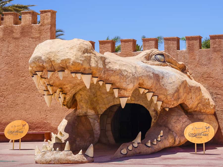 Agadir: Crocoparc Skip-the-Line Entry Ticket - Key Highlights to Know Before You Go
