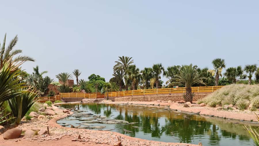 Agadir: Crocoparc Skip-the-Line Entry Ticket - What Makes Crocoparc Agadir Different From a Typical Zoo