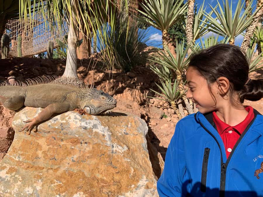 Agadir: Crocoparc Skip-the-Line Entry Ticket - Where to Meet, What to Bring, and How the Entry Works