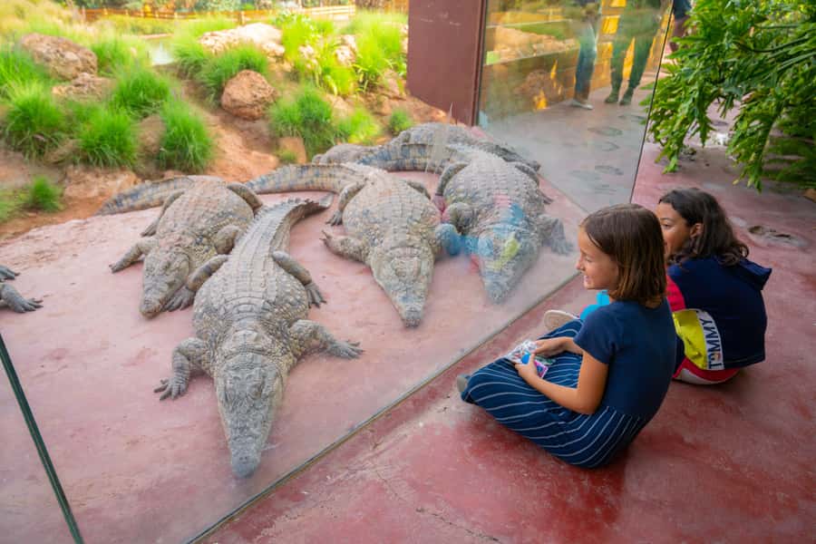 Agadir: Crocoparc Skip-the-Line Entry Ticket - The Layout: Five Garden Areas That Keep the Reptile Photos Interesting
