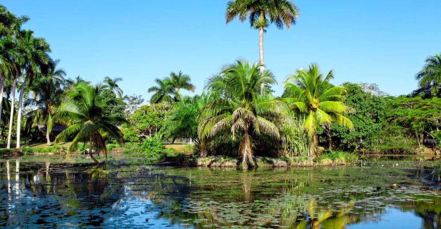 Agadir Crocoparc: Ticket and Transfer - Key Highlights You Will Actually Care About