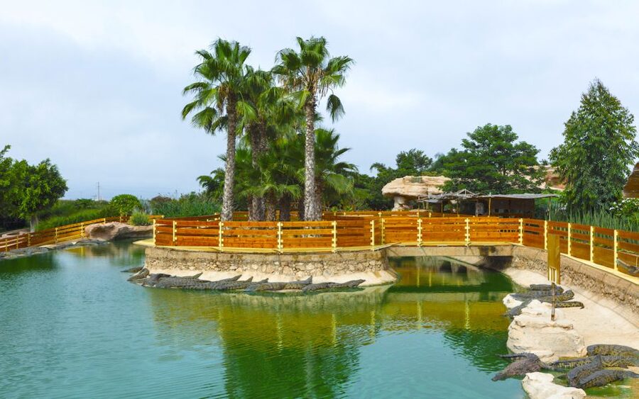 Agadir Crocoparc: Ticket and Transfer - Practical Tips: Where Snacks Fit In and What to Bring