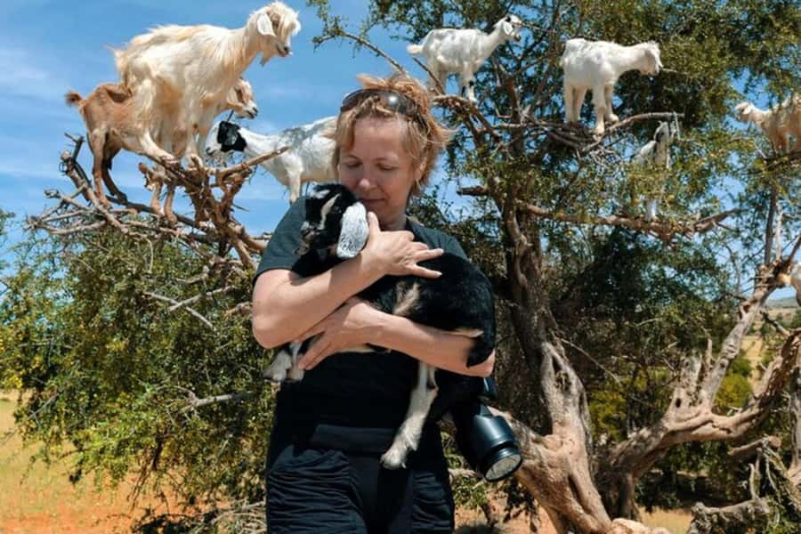 Agadir: Discover Argan Tree-Climbing Goats on a Morning Tour - Key things that make this tour worth your morning