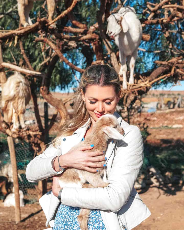 Agadir: Discover Argan Tree-Climbing Goats on a Morning Tour - Argan Tree-Climbing Goats: The reason this tour exists