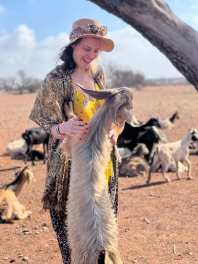 Discover Argan Tree-Climbing Goats on a Morning Tour