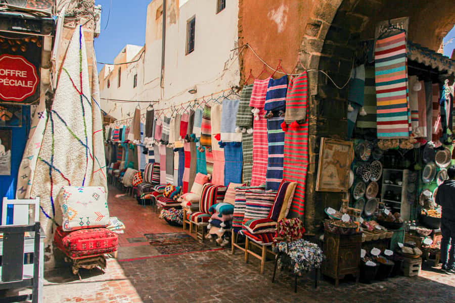 Agadir: Essaouira Guided Day Trip - Price and value: is $43 a good deal for this route?
