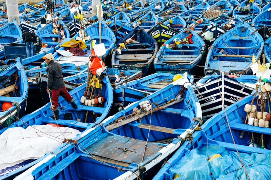 Agadir: Essaouira Guided Day Trip - The Agadir to Essaouira drive: when the day really starts