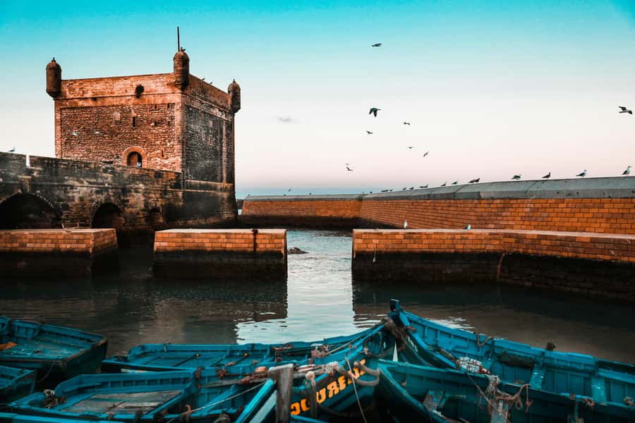 Agadir: Essaouira Guided Day Trip - Flying goats and Berber village tea: the roadside stops that turn into memories