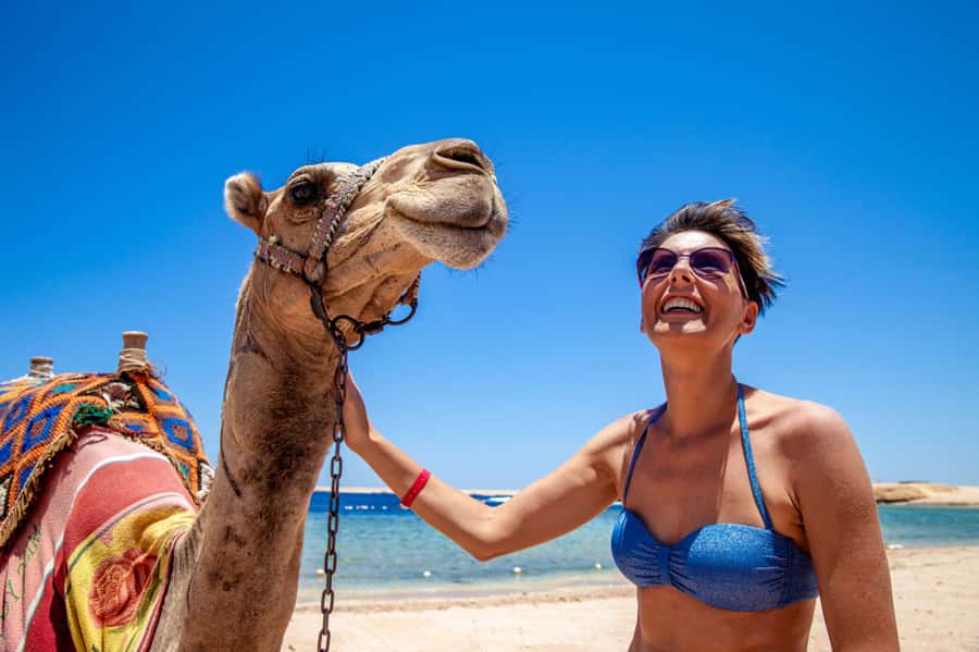 Agadir: Flamingo River Camel Ride with Optional BBQ Dinner - Price and Value: Is $20 Worth It?