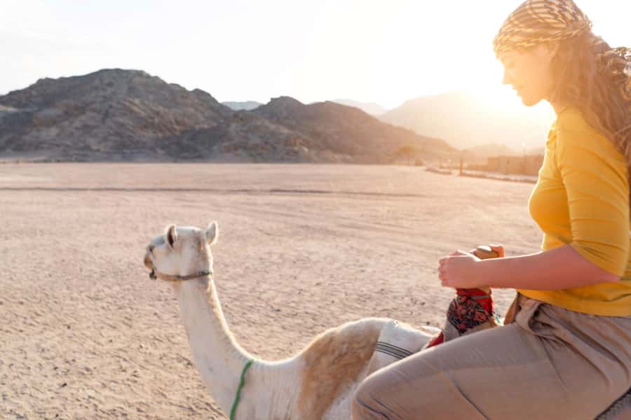 Agadir: Flamingo River Camel Ride with Optional BBQ Dinner - Animal Welfare Check: What to Watch For Before You Commit