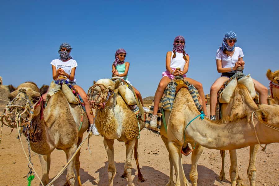 Agadir: Flamingo River Camel Ride with Optional BBQ Dinner - Who This Tour Suits Best in Agadir