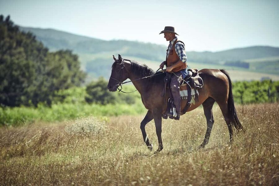 Agadir: Forest and Sand Dunes Guided Horse Riding - Key points to know before you ride