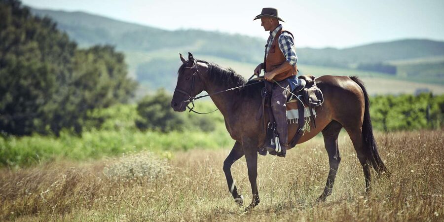 Agadir: Forest and Sand Dunes Guided Horse Riding - Horse riding in Agadir’s eucalyptus and dunes, why it works