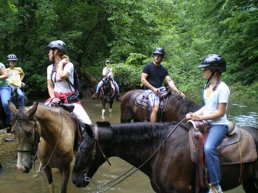 Agadir: Forest and Sand Dunes Guided Horse Riding - Beach riding and sand dunes: the part built for wide views
