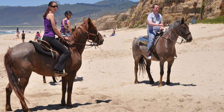 Agadir: Forest and Sand Dunes Guided Horse Riding - The guide factor: why Abdul and Hammed keep coming up