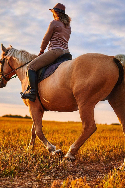 Agadir: Forest and Sand Dunes Guided Horse Riding - Price and value: why about $23 can make sense