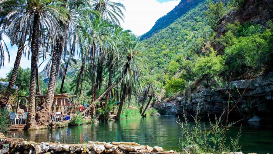 Agadir: Guided Excursion to Paradise Valley - Why Paradise Valley is a quick nature escape from Agadir