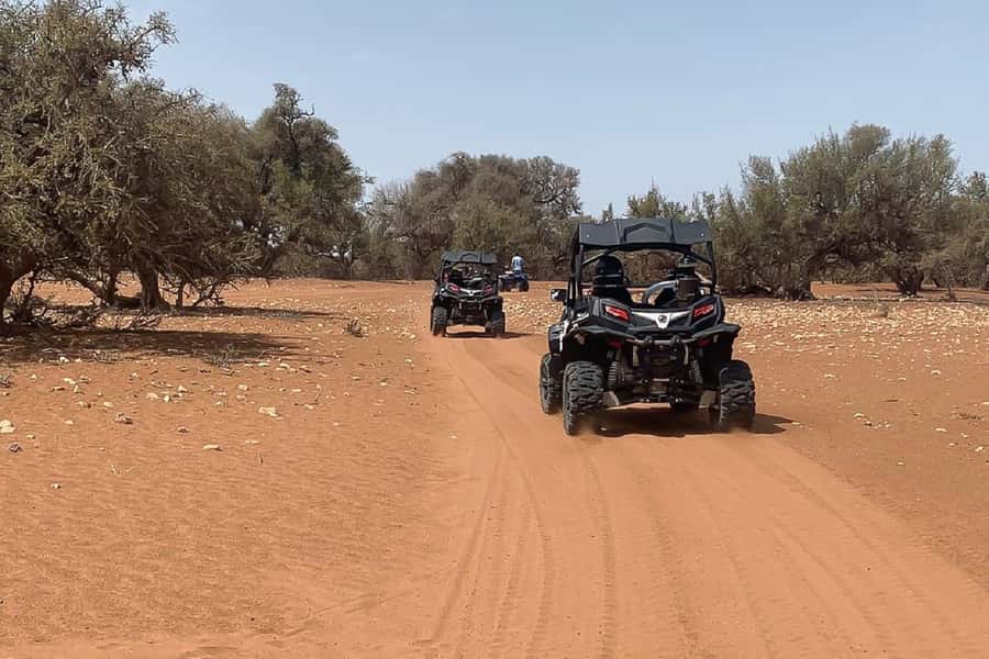 Agadir: Half-Day Desert Dunes Buggy Safari - Price and value: is $56 for 3 hours reasonable?