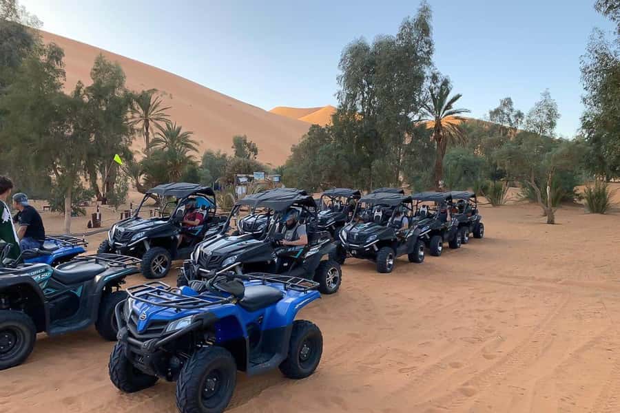 Agadir: Half-Day Desert Dunes Buggy Safari - From 8:30 AM pickup to 12:00 PM drop-off, the day runs fast