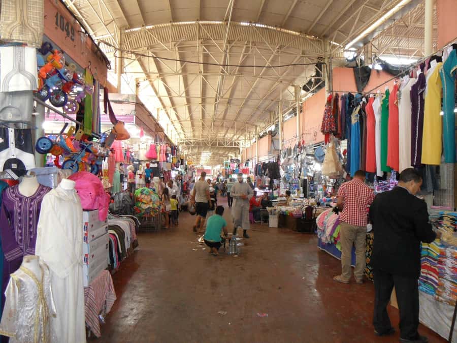 Agadir: Half-Day Guided Tour - Agadir Medina Stop: A Quick Start, Not a Full Wander