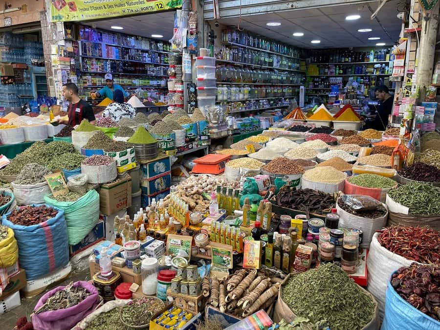 Agadir: Half-Day Guided Tour - Agadir Port and Residential Areas: Where the City Earns Its Living