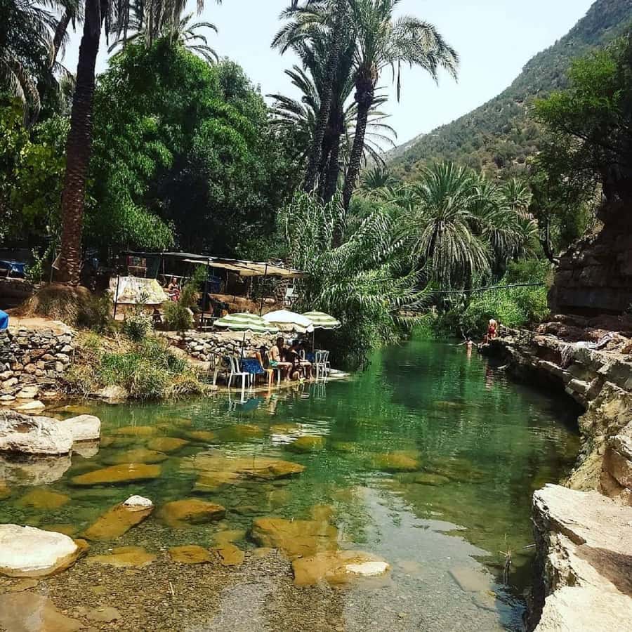Agadir :Half day Paradise Valley & Atlas Mountains Tour - The Walk to Paradise Valley Pools: How to Plan Your Footwork