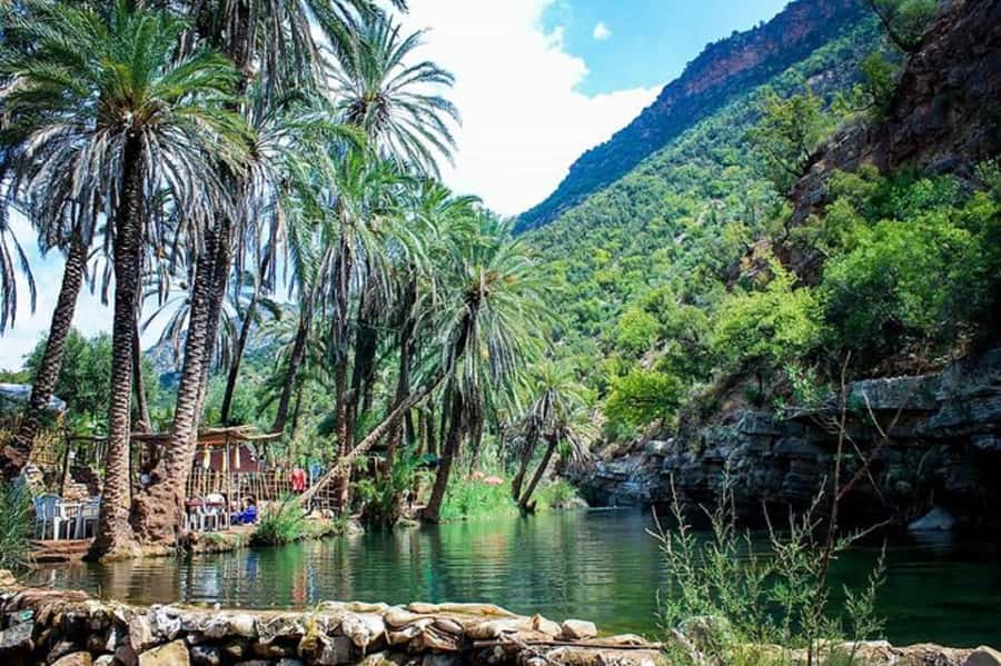 Agadir :Half day Paradise Valley & Atlas Mountains Tour - Guide Experience, Languages, and the Drive North