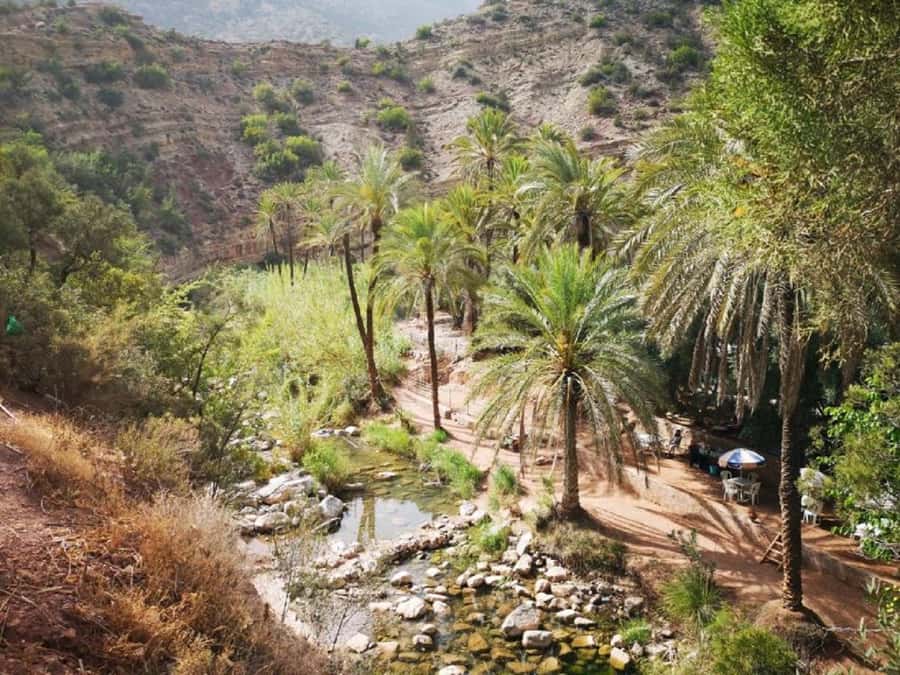 Agadir :Half day Paradise Valley & Atlas Mountains Tour - Price and Value: What $17 Buys You (and What It Does Not)