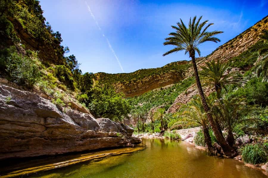 Agadir :Half day Paradise Valley & Atlas Mountains Tour - Timing and Pickup: The 8:30 AM Start That Shapes Your Day