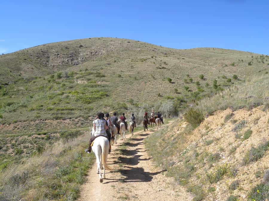 Agadir Horse Riding visite the flamingo river with tea drink - Flamingo River bird spotting, and the best way to watch while you ride